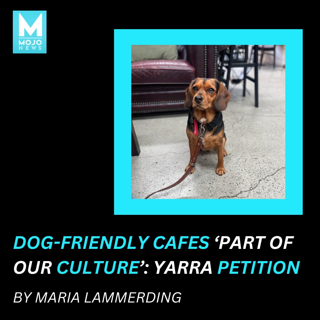 Those with four-legged friends have been told that Yarra City Council is trying to keep dogs out of food establishments. 

Words by Maria Lammerding

bit.ly/dogfriendlycaf…

#culturalaffairs #dogfriendly #yarra #mojonewsau #studentjournalism #monashstudents #monashuniversity