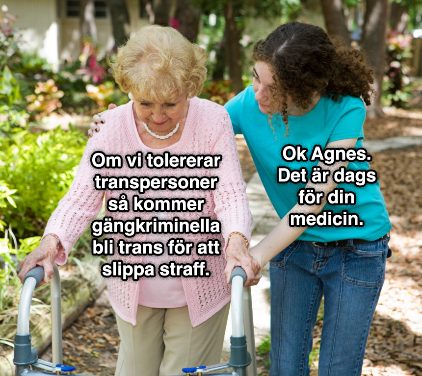 seifert 🐢 (@rackamacka) on Twitter photo 