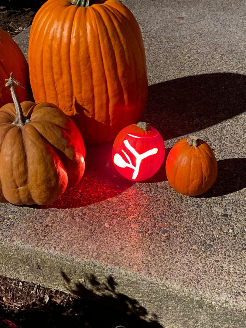 Ron Barbosa MD FACS tweet media