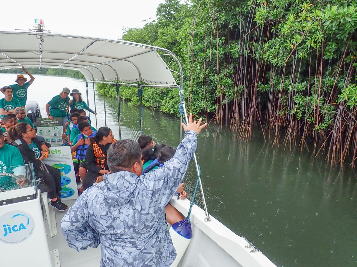 The July-September quarter was a busy time at PICRC! Read the newsletter for the quarter: picrc.org/tekoil-chei-pi… And you can sign up to receive Tekoi’l Chei, our e-newsletter, which is sent out every three months, here: forms.gle/DhbUD9gyjMxgX1…