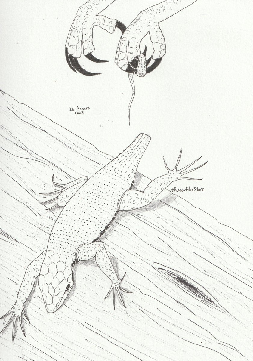 ReneeoftheStars's tweet photo. #inktober 2023  
Day 26: #remove 

#inktober2023 #inktober2023day26 #art #traditionalart #inktoberremove #lizard https://t.co/hLP7Y6y2e2