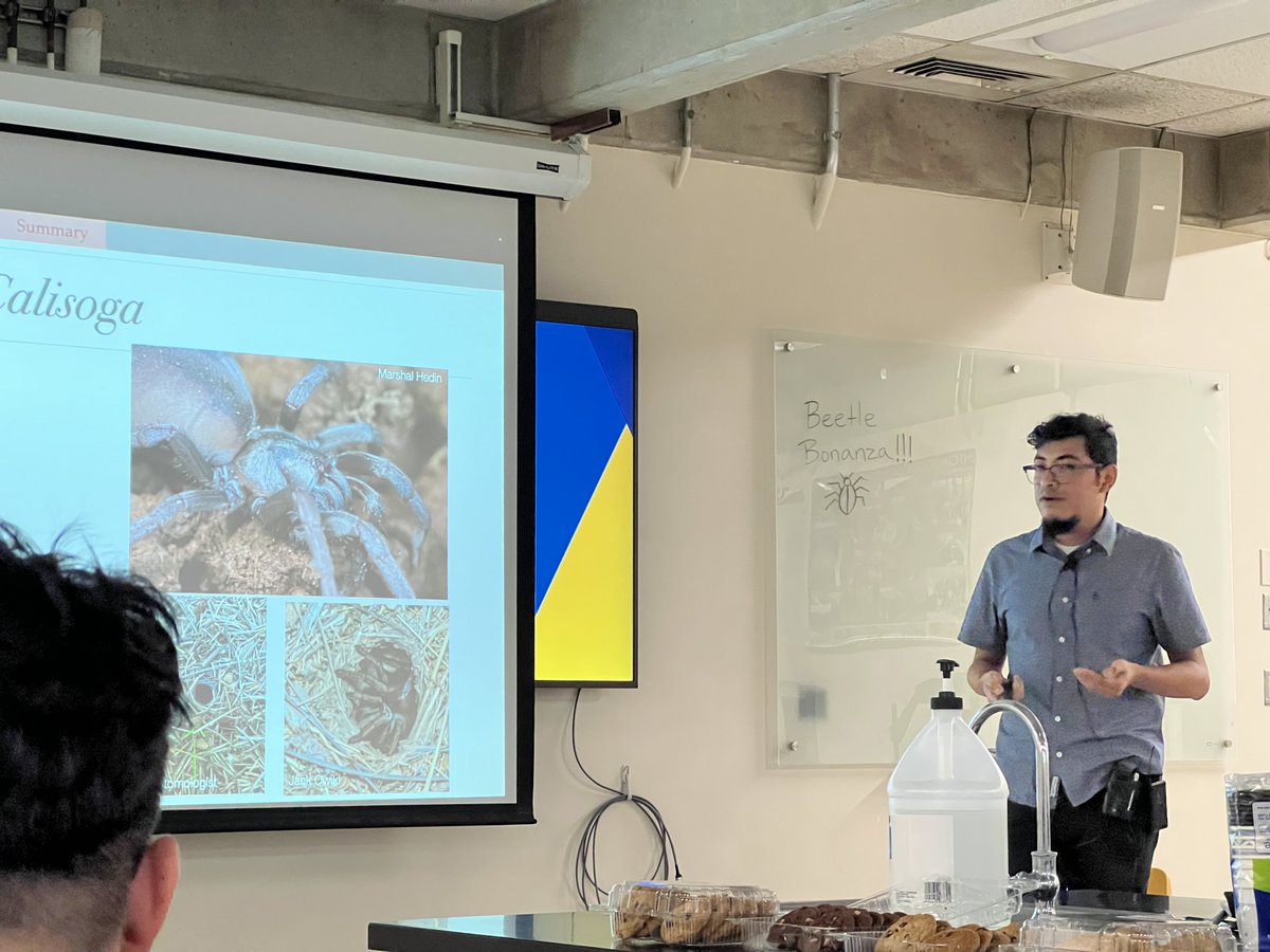 Jason_E_Bond's tweet photo. Great seminar today at @ucdavisCAES, @bohart_museum, and UC Davis Entomology and Nematology by Rodrigo Monjaraz-Ruedas (SDSU postodoc). Absolutely wonderful talk and truly cutting edge work on these amazing spiders! https://t.co/kDDEewB5KC