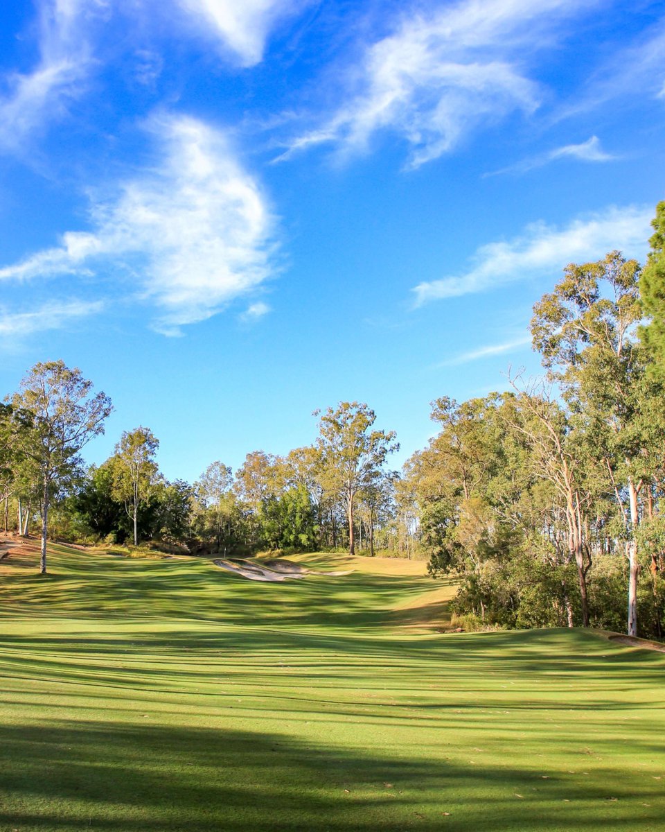 Greater Springfield tweet media