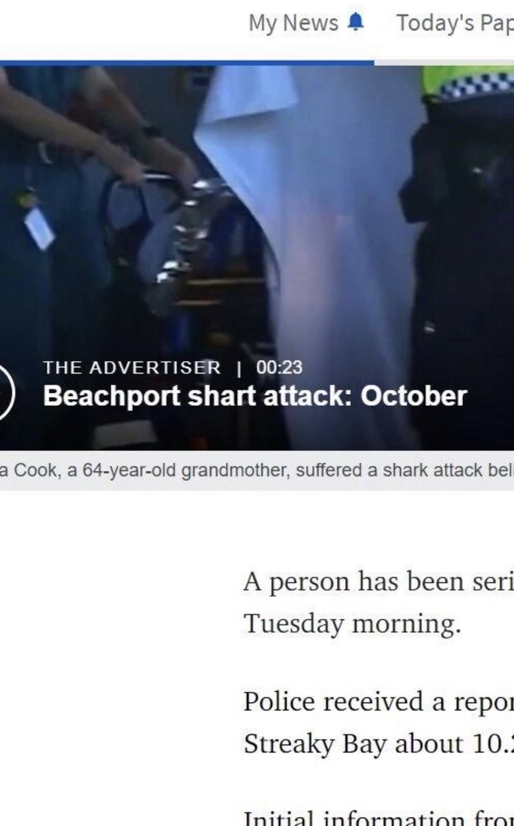 Alright everyone out of the water