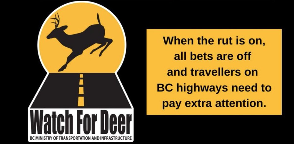 DriveBC tweet picture