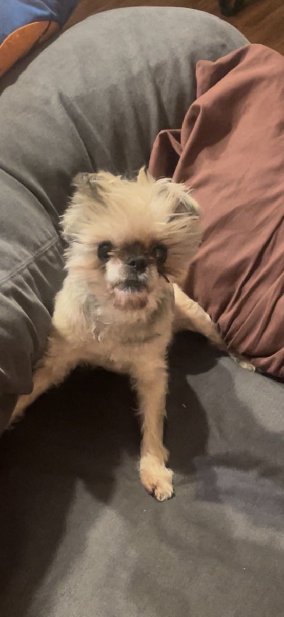 Why does Stella look like Joe Biden here