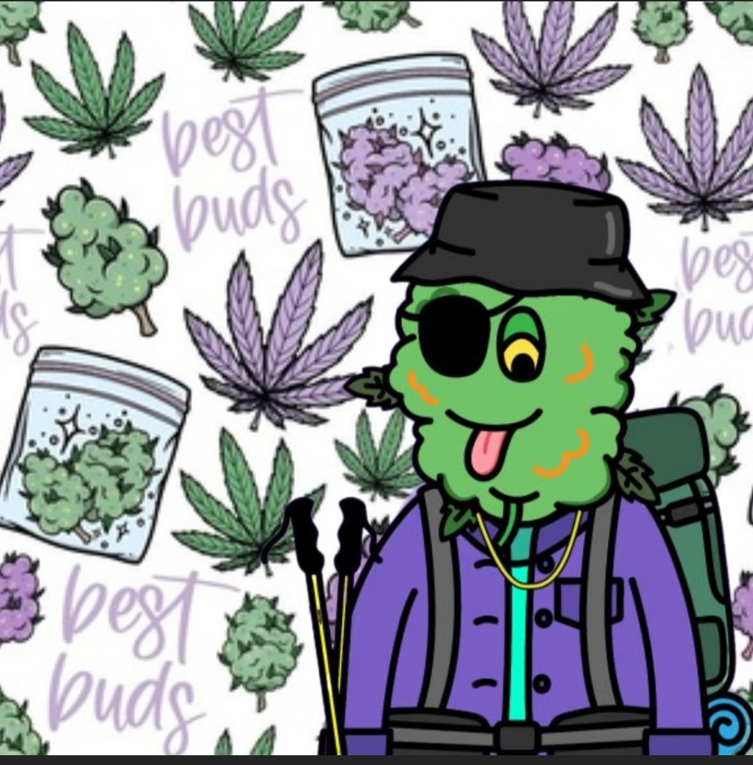 Do you know the benefits of holding an OG <a href="/CannabuddieNFTs/">Now ➡️ Lettuce Monsters!</a> 

1️⃣30% off all store products 
2️⃣Automatic entries into weekly giveaway 

💚♻️ If you hold a buddie

#cannabisindustry #NFTCommunity #NFTProject #nfts #weedsmokers