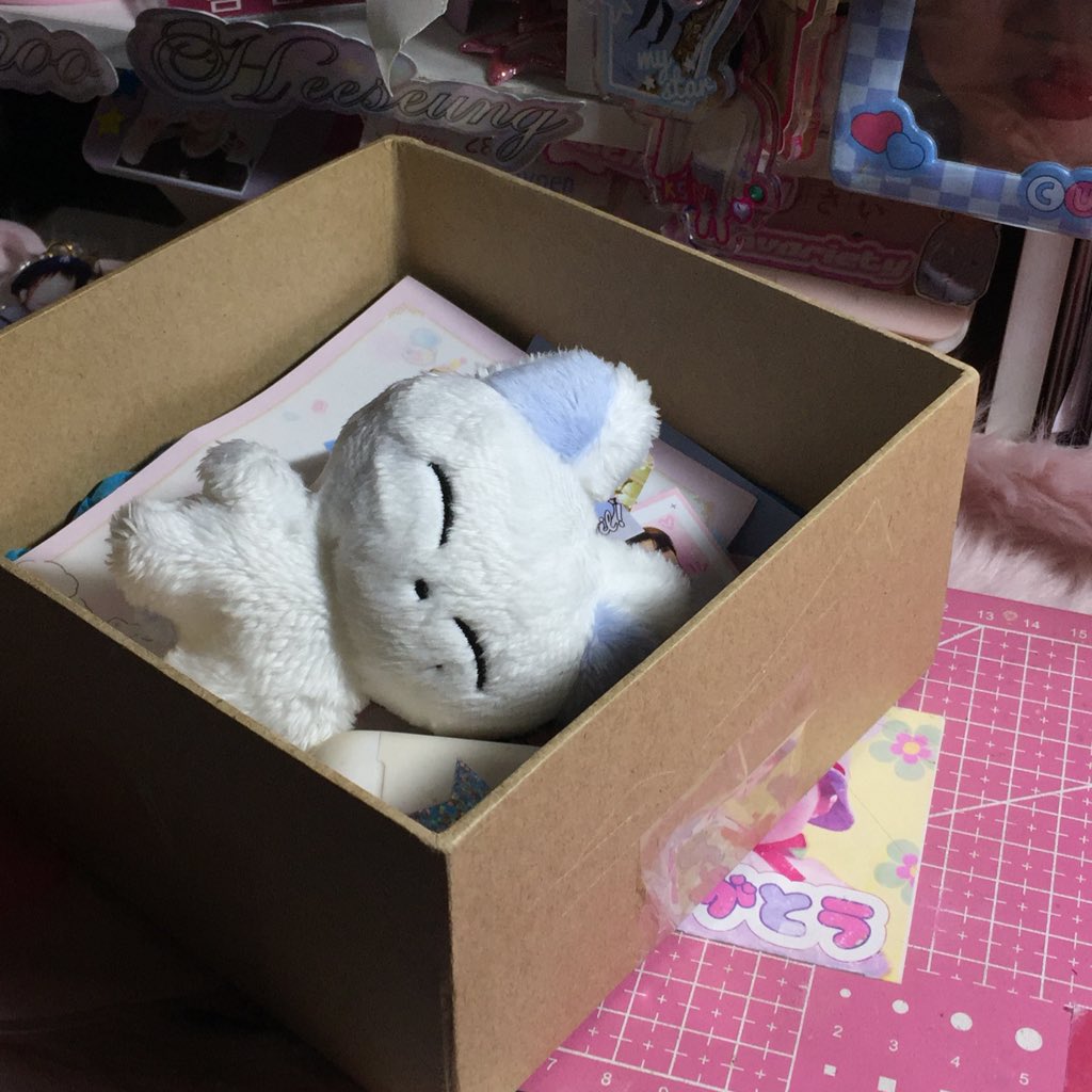sunoofinds's tweet photo. ‧ ִ ۫✭ #mail4cee !

🎐  hello bebi ko, @chikookcart 🥰 thx so much for letting me adopt mint ddeonu eueuee cute so much &amp; the freebies ACCK dami  pls di ko na naisama sa pic bwhshshs ! ILY SEE U SOONEST MWAMWA 💘💘💘

🧺 #liyanproofs .. ⭐️ ! https://t.co/sXFEjUzubF