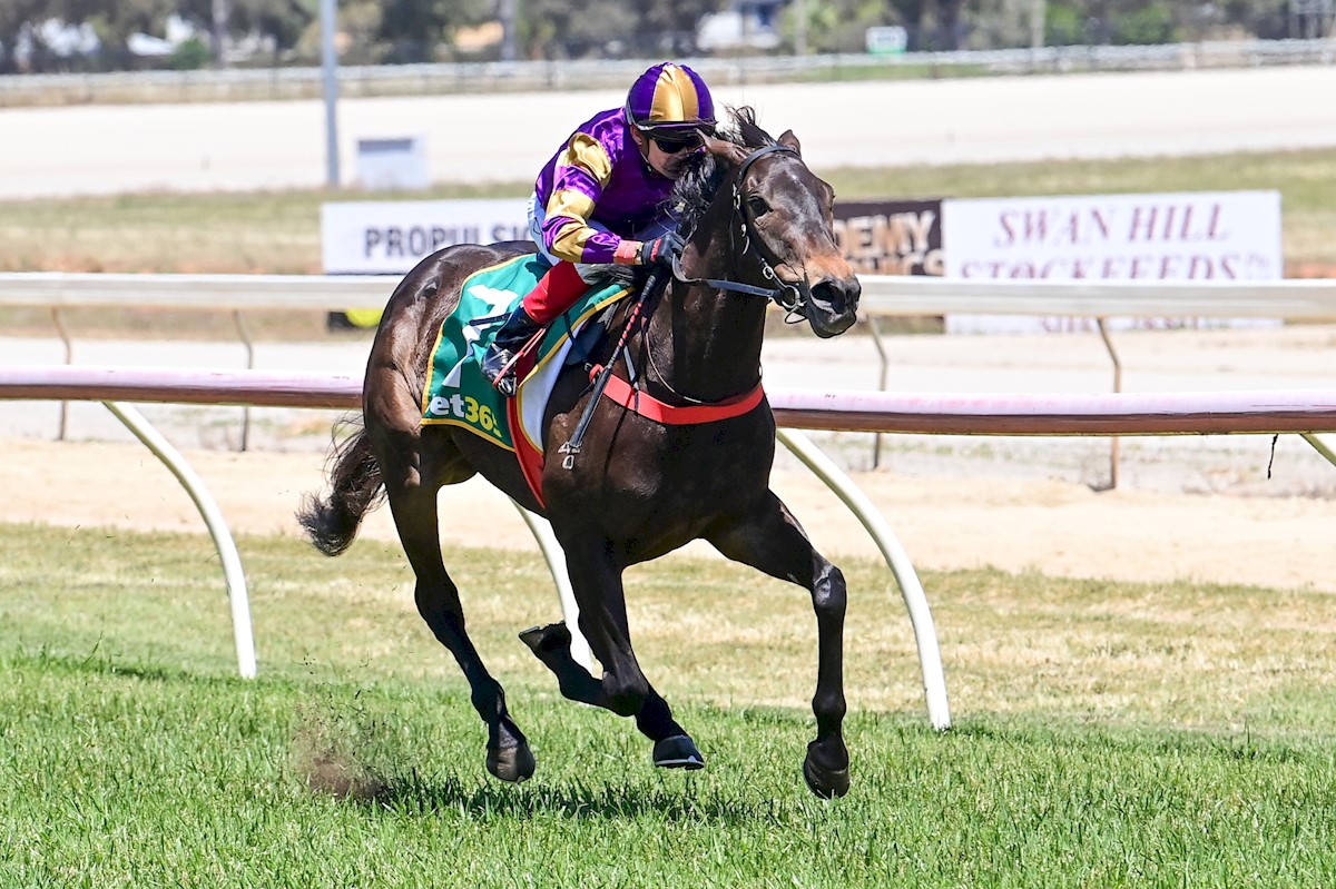 Lindsay Park Racing tweet media