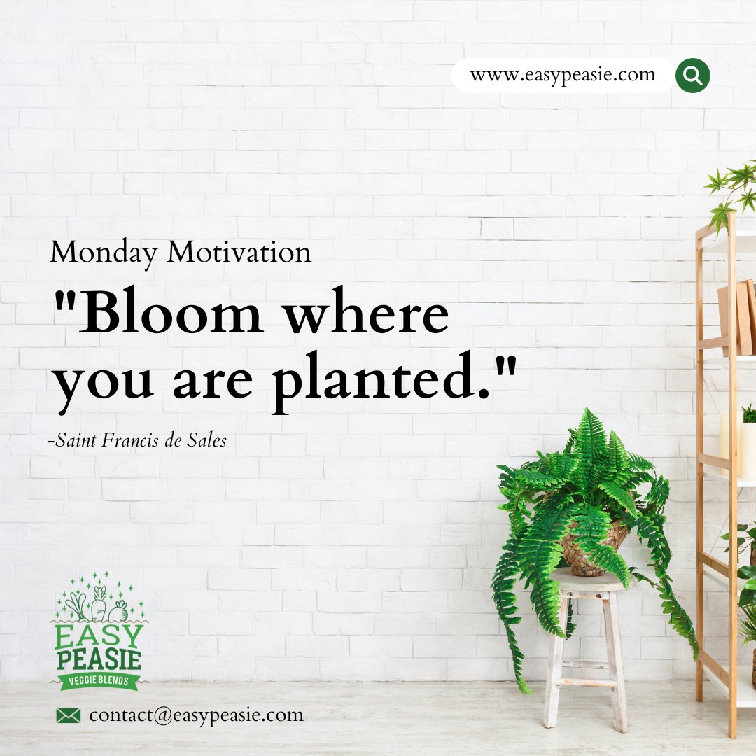 Life's beautiful journey is about blooming right where you're planted. 🌸🌿 #MotivatedMondays #GrowWhereYouAre #EmbraceChange #MondayMotivation #NewWeekNewGoals #StartStrong #InspirationMonday #PositiveVibes #FutureFocused #PassionFirst #LifeGoals #Easypeasie