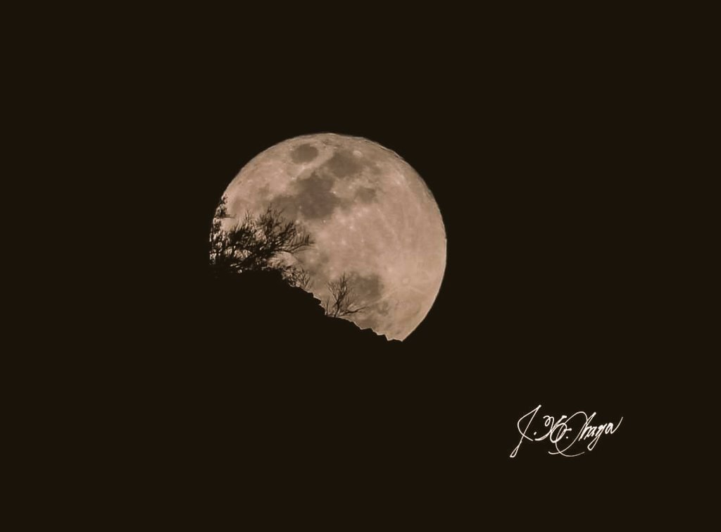 La ultima luna de octubre  antes de irme a la CDMX a tratamiento medico. <a href="/Edgarmolinas/">Edgar Molina</a> <a href="/kioscomayor/">francisco rodriguez</a> <a href="/tonoastiazaran/">Antonio Astiazarán</a>