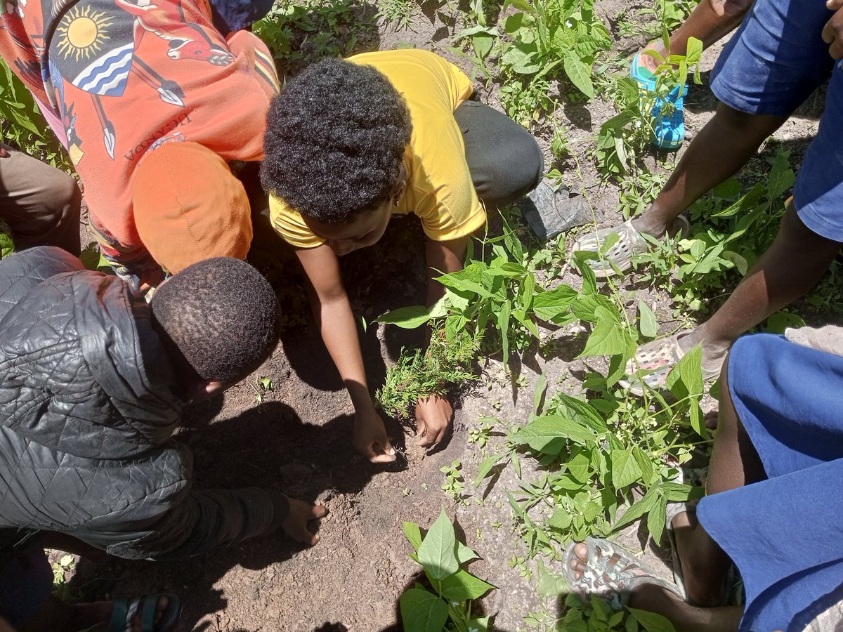 MbungaFor39318's tweet photo. we also Planted a tree in their respective compounds together, with Purpose, and that is a very big cause for celebration the  acomplishment of primary level of their studies! This amazing activity was organized for us by the leaders of girls of the respective schools!. https://t.co/a4Tagx1LFs