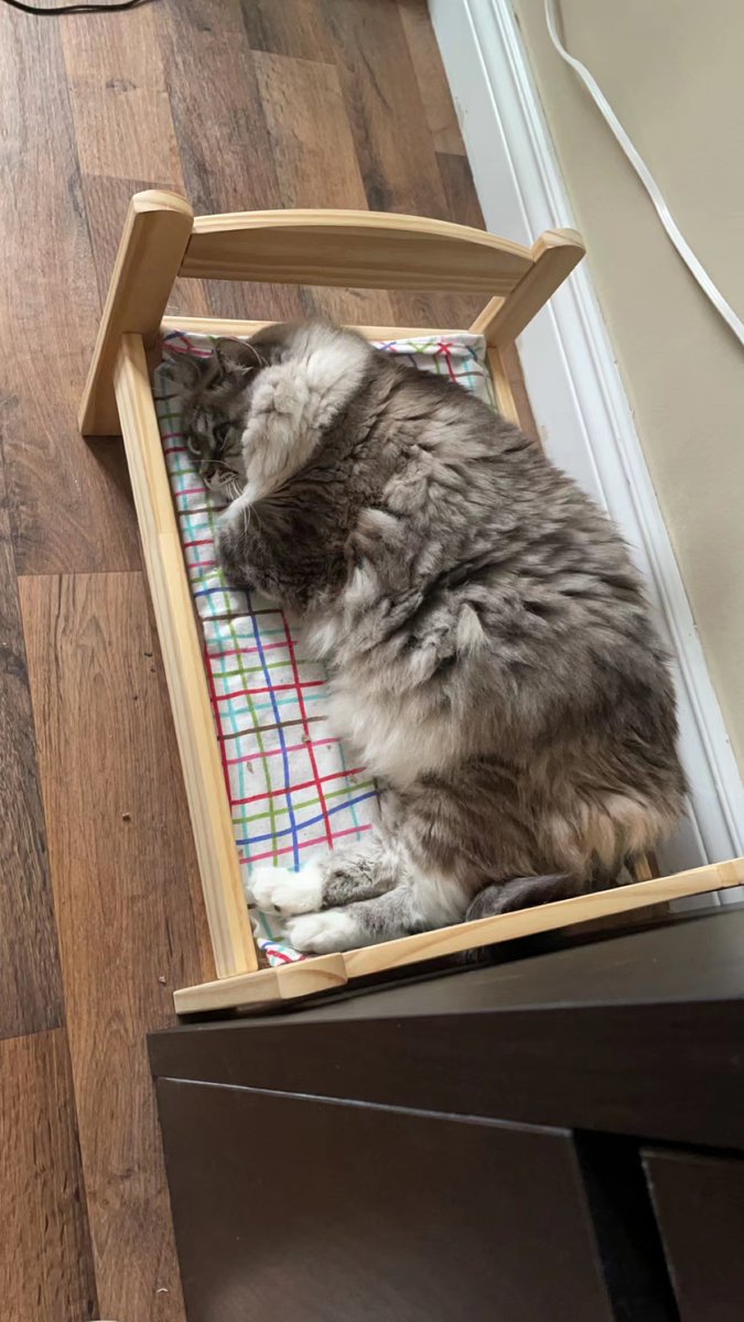 Someone is being lovely today.