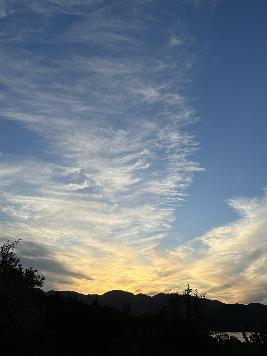omoidekioku's tweet photo. 健康診断で、新たに色々引っかかった
バリウムで初めて引っかかった
胃カメラ飲んだ事ないから怖い
癌かなぁ…
昨日から不安で仕方ない https://t.co/YO4v5y1091