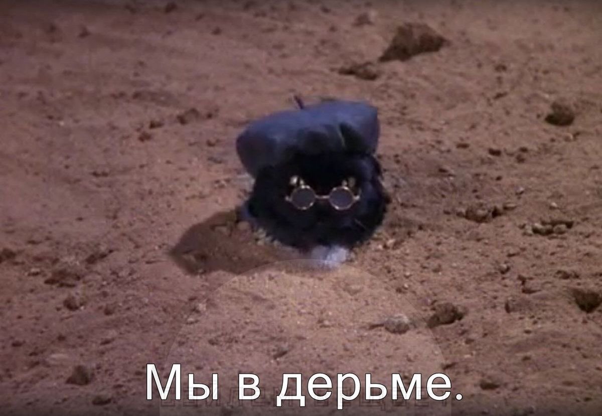 chuma_vm's tweet photo. Доброе утро 🫶🏼 https://t.co/5sEb6iQMKw