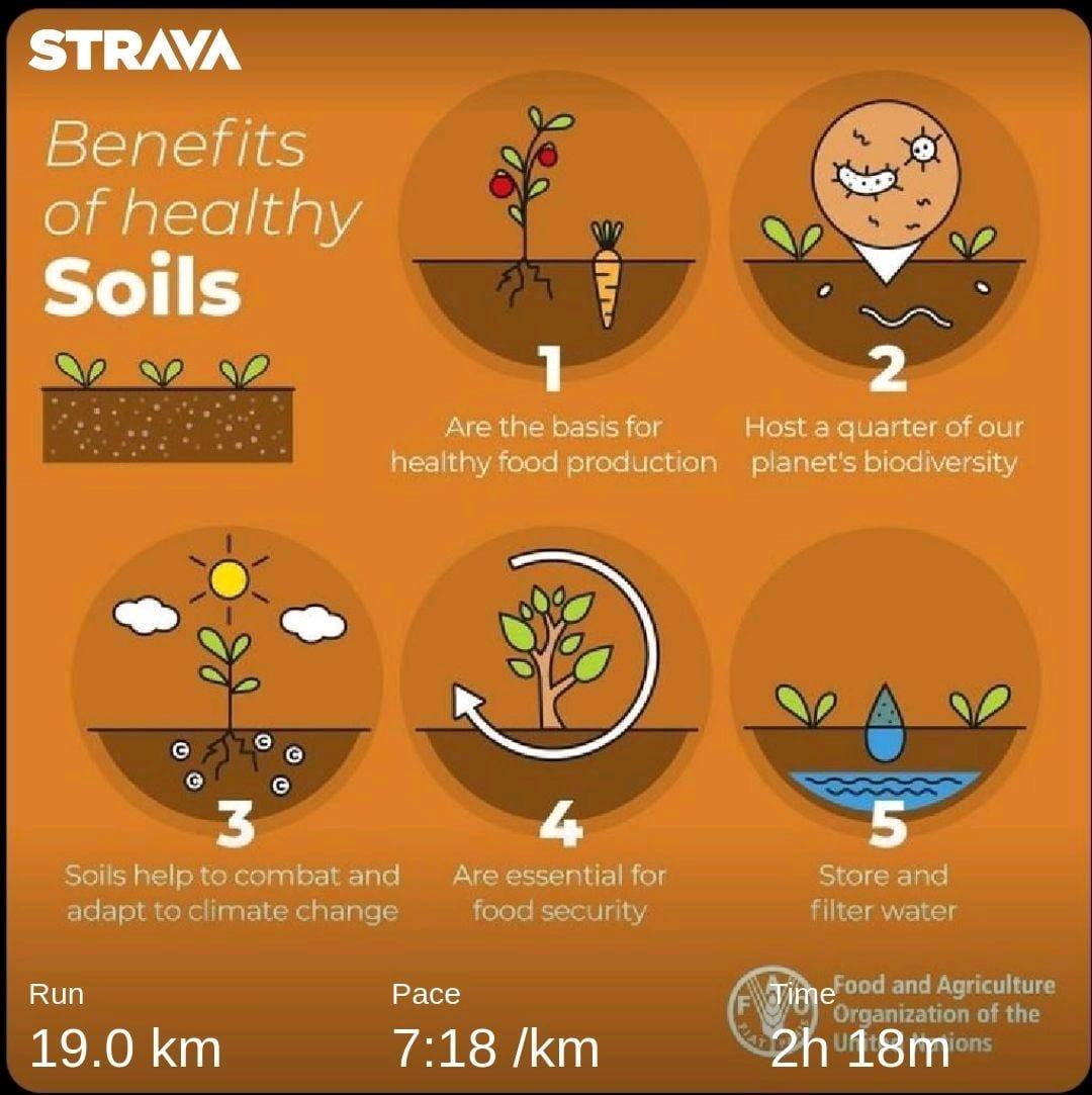 ishavizagsharma's tweet image. Namaskaram,
Did 19 Kms #SaveSoil campaign running & reached 2,928 Kms. 
Let us unite to #SaveSoil with policies to create healthy soil. Almost every major environmental issue can be reversed with a holistic approach towards soil on our planet. #unityrun