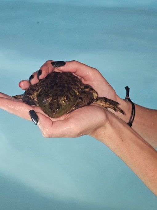 I found my prince in the D.R. https://t.co/p69NKZgjxe