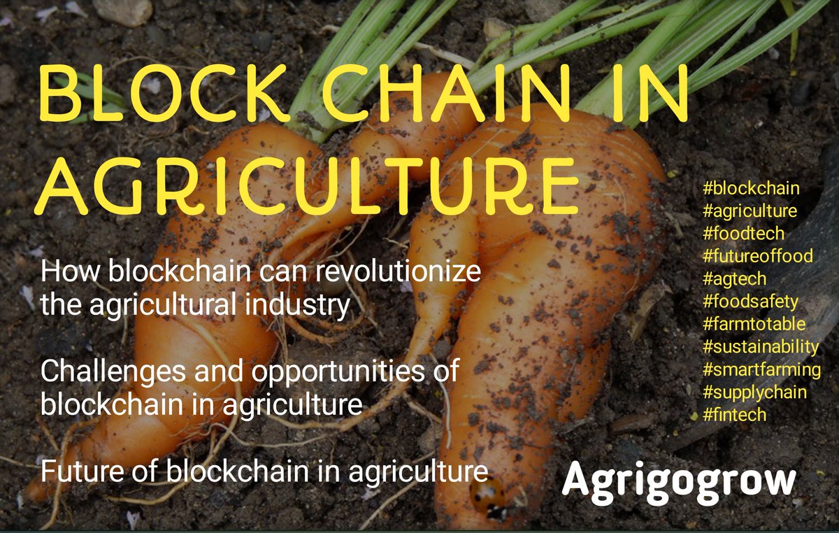 Blockchain has the potential to revolutionize the agricultural industry

Blockchain is changing the world & #agriculture is no exception! This innovative technology is revolutionizing the way food is produced, transported, and consumed
#blockchain #foodtech #agtech #futureoffood