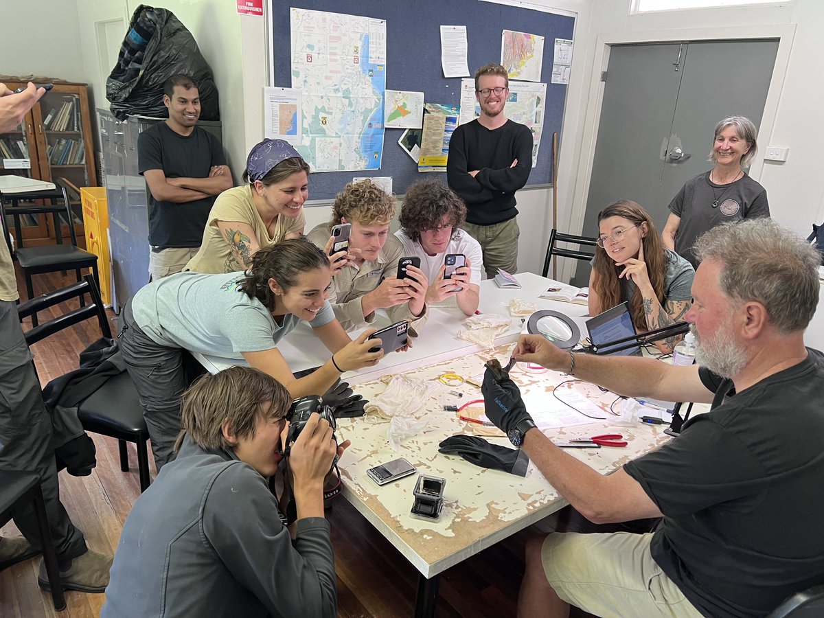 Bat school is back in session!

The team is only a little bit excited as Dr Brad Law shows off the most exciting catch of the day (night?). A tremendous Greater Broad-nosed Bat! Only the 6th time we’ve caught one here in over 1200 bat captures overall!