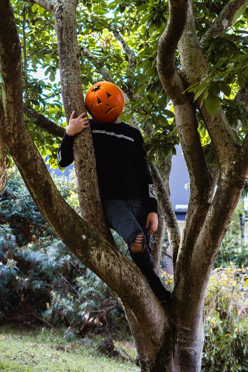pilskicasts's tweet photo. Happy halloween cunts 🎃

📷 @sara_pkl https://t.co/DiyaIVIMhF