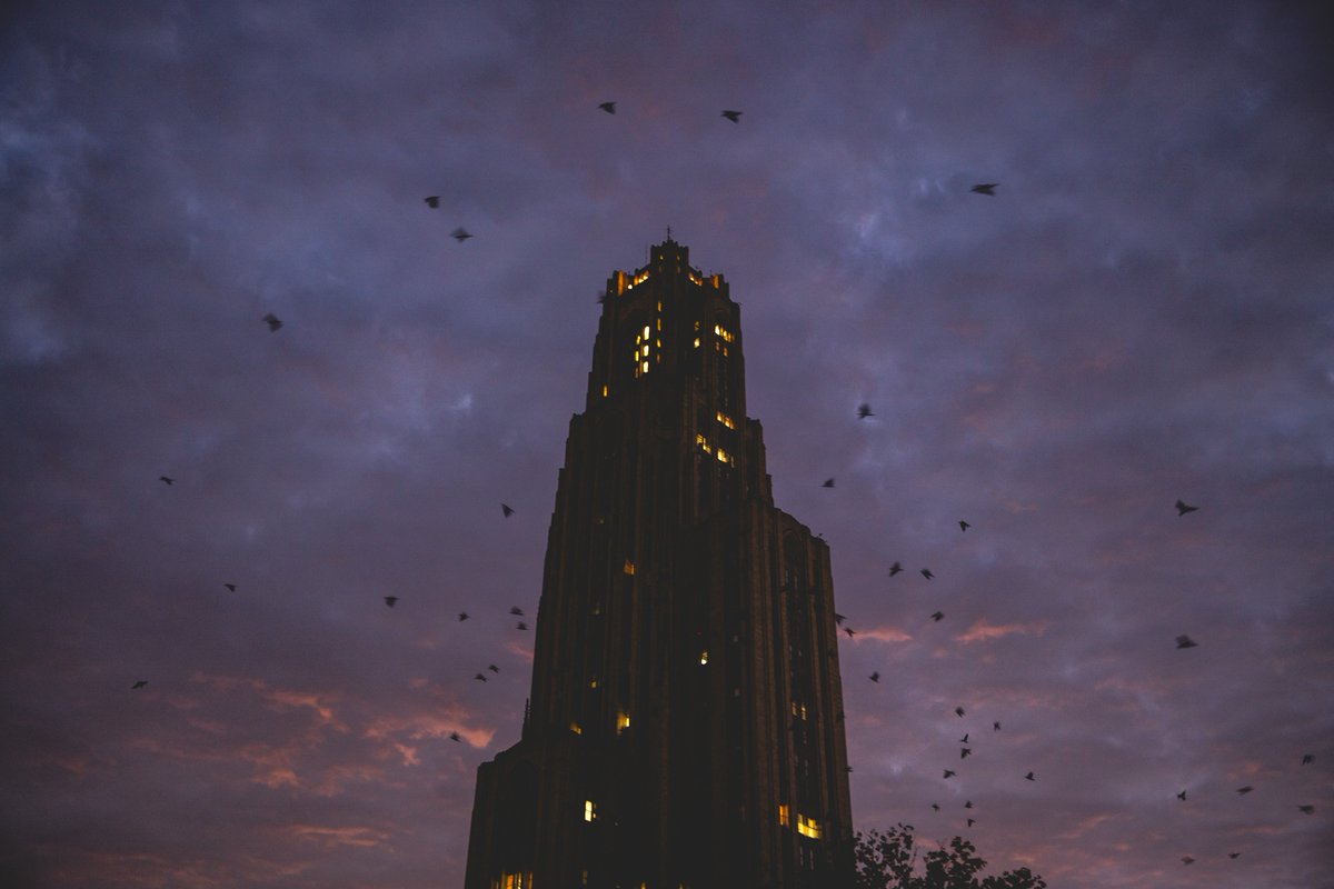 The witching hour 🐦‍⬛