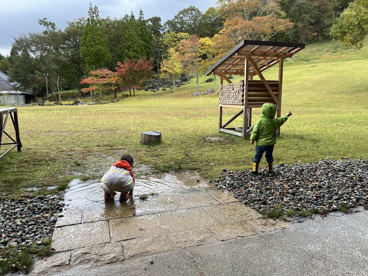 kobe_kaiundo's tweet photo. そして10月29日はのあそび部＠南但馬自然学校でした。雨の感触を楽しむ小さいさん、「このキノコは食べられる！」と主張する大きいさん。少し登ったら竹田城跡が見えました！砂田はまだ陸上での生態が明らかになっていない幼少期のアカハライモリに会えたのが嬉しかったです。 https://t.co/W2pUvhjBRk