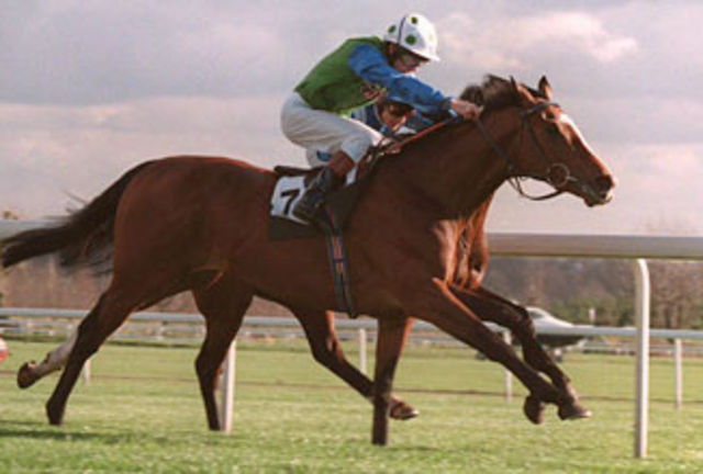 HORSERACING1002's tweet image. ROMANOV (IRE) 🇮🇪 1994
(NUREYEV -  MORNING DEVOTION BY AFFIRMED)
#Romanov