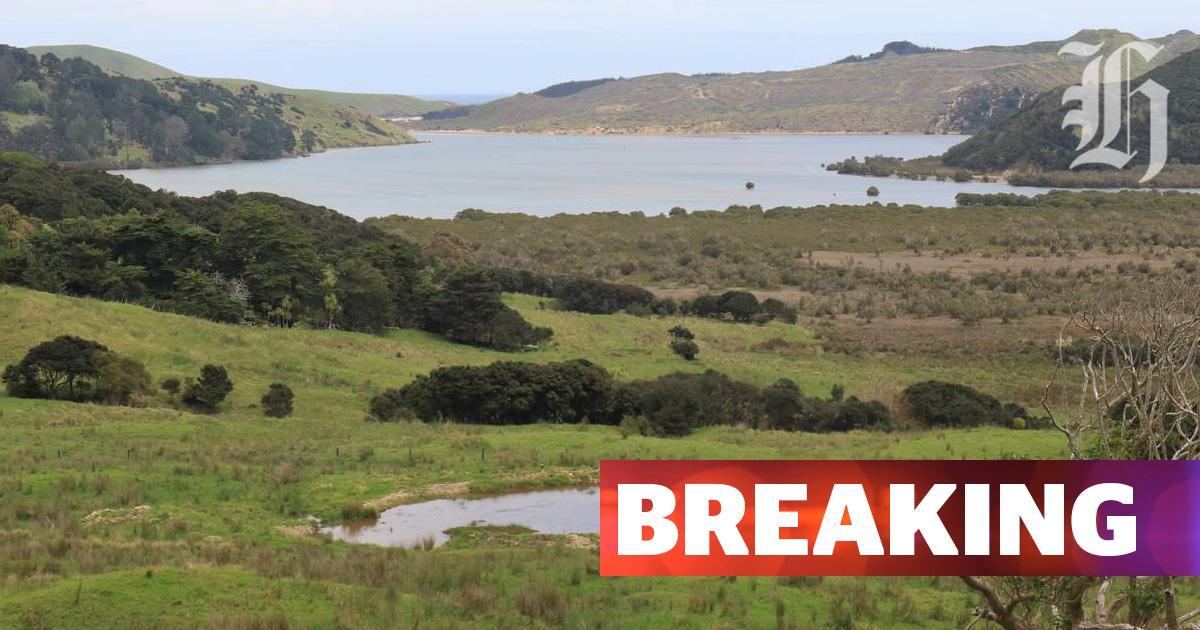 nzherald's tweet photo. #BREAKING | 'Our baby brother has been found': Teen diver's body found https://t.co/h8BEkubBJU https://t.co/Jis48CZ2QT