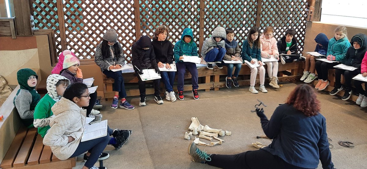 Cori Williams tweet media