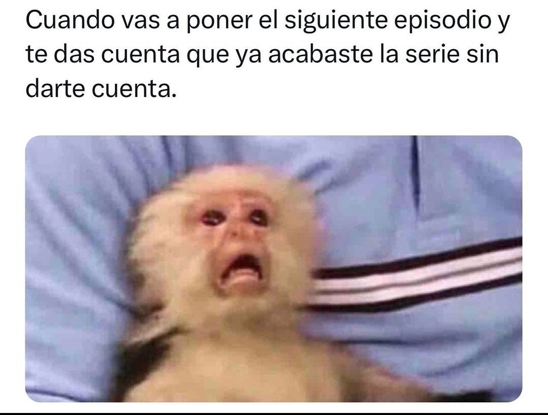Palomishe849's tweet photo. Yo mañana 🥺
#GranFinaldeJesus #JesusEnUNIFE196 https://t.co/3AfNlIi6nO