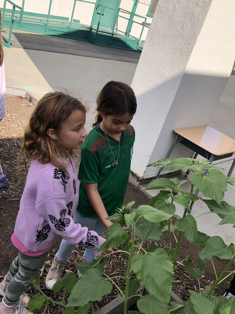 Tierra Linda School tweet media