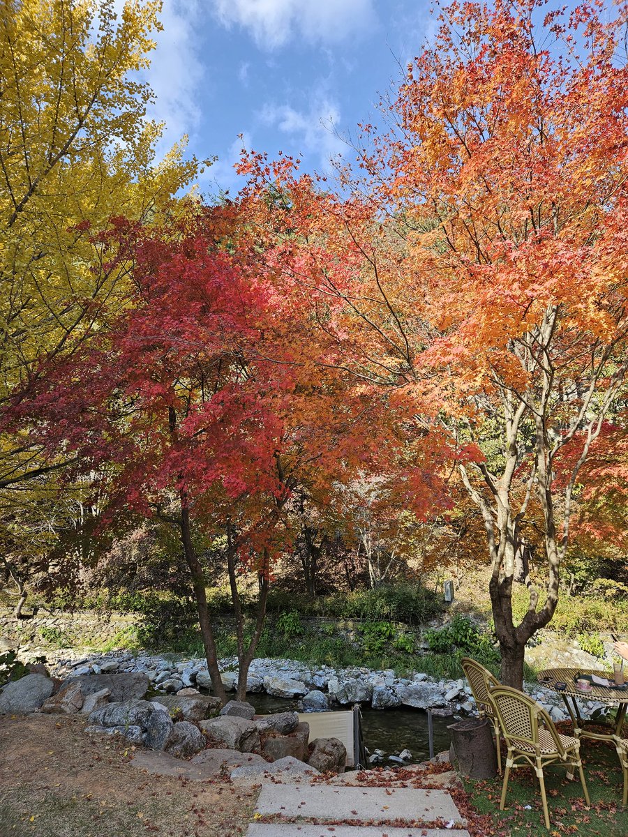 hellopd's tweet image. 가을인가보다 #강천산