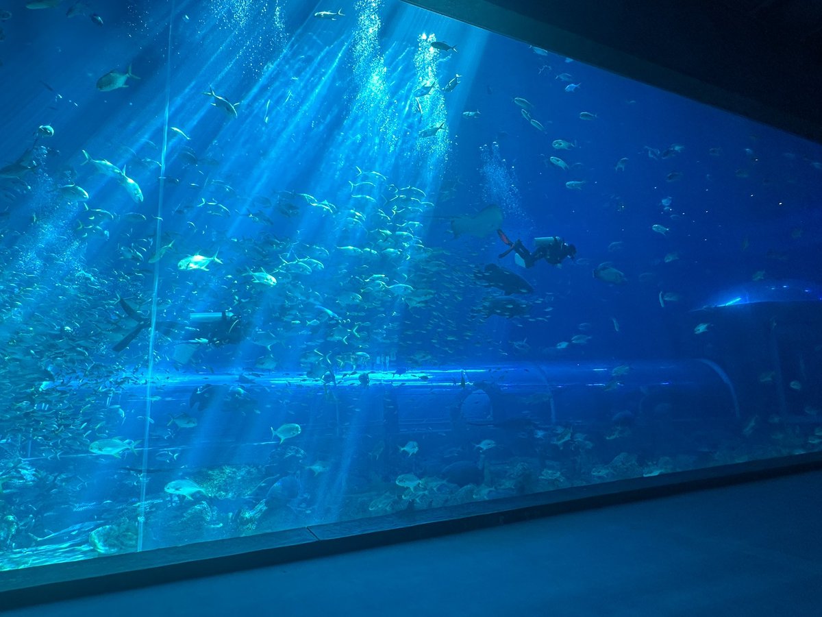 Tri Nguyen 🌟 (@minhtri10695) on Twitter photo 