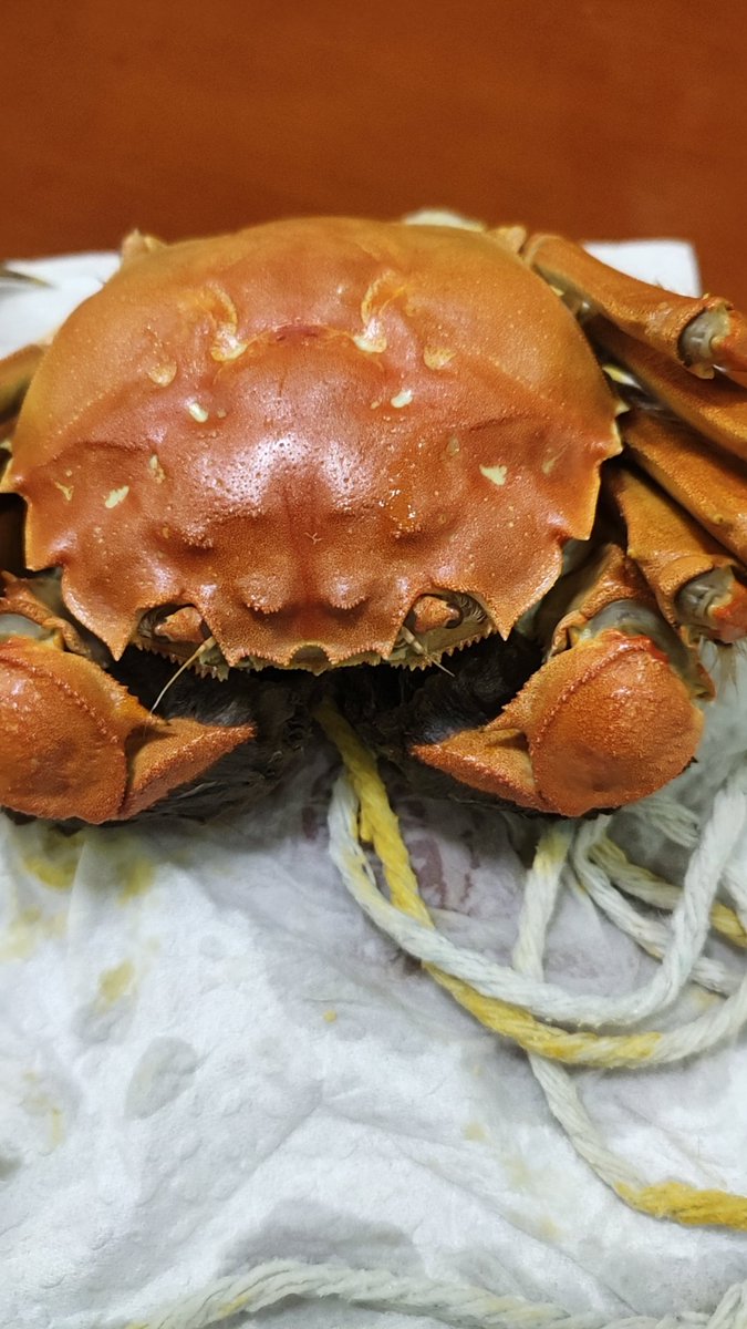 bbc_63's tweet image. 