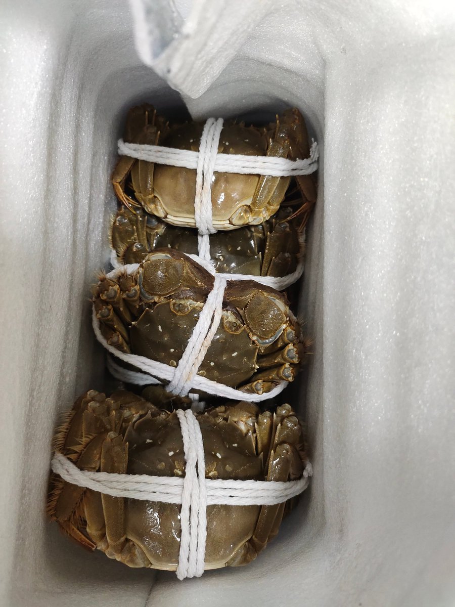 bbc_63's tweet image. 