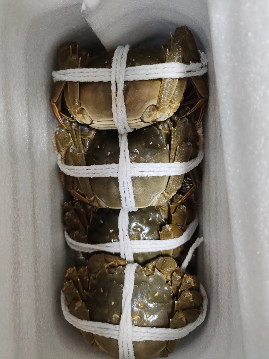 bbc_63's tweet image. 