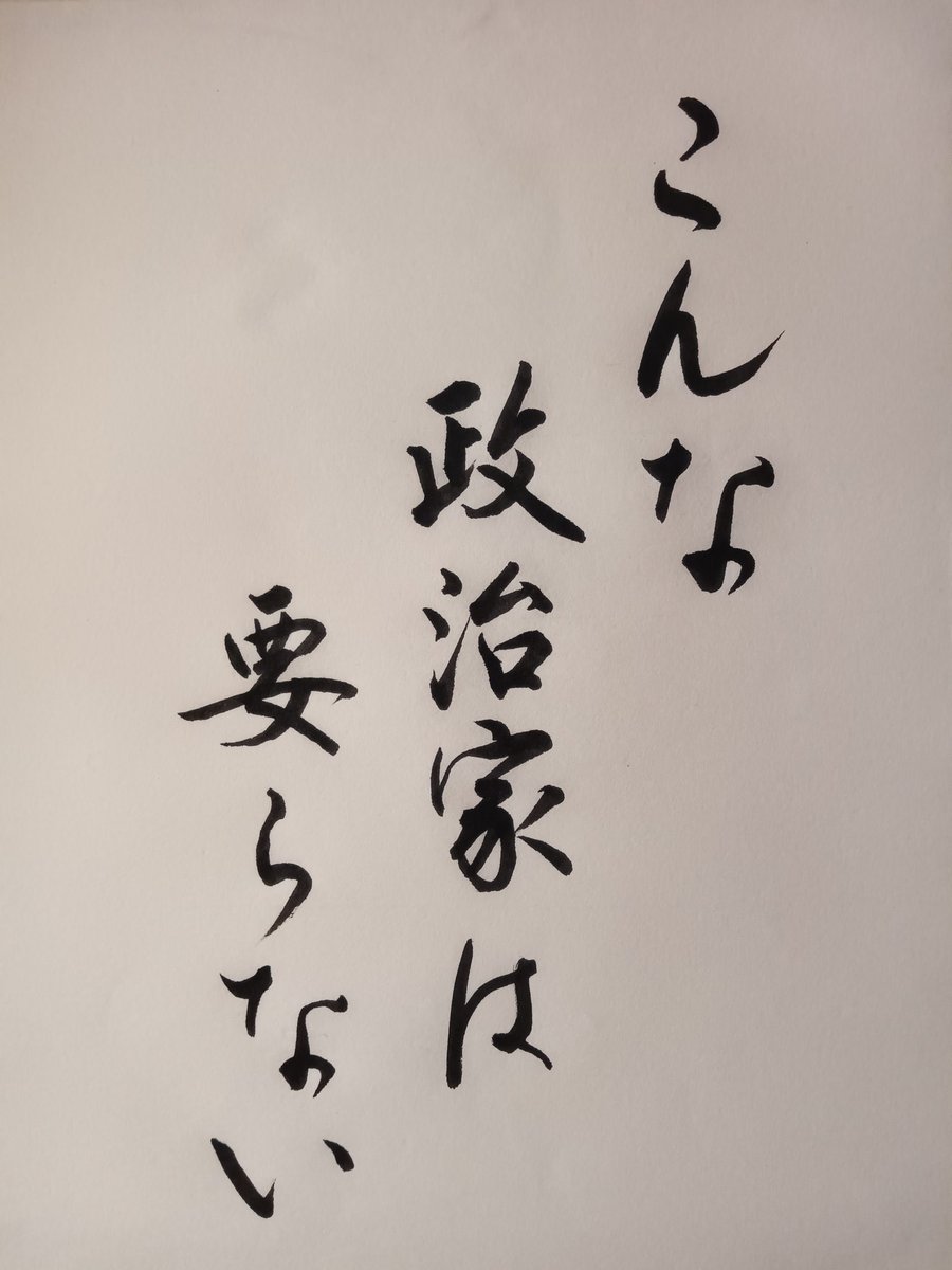 yosizou_k's tweet photo. @I_hate_camp #自民党を落とそう https://t.co/OoPS8QLEgR