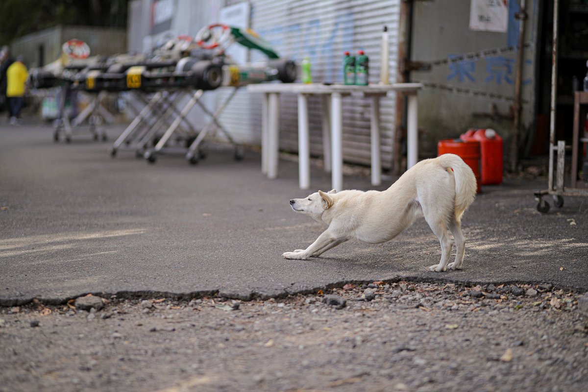 AzuAzu303's tweet photo. 2023年10月22日にイタコモータースポーツパークで行われたIMSP SPEEDGAMES ROUND.5の写真をOneDriveにアップしました。
https://t.co/VkiMAA6FQk
#IMPS #SPEEDGAMES #イタコモータースポーツパーク https://t.co/rJlSVCzdpV