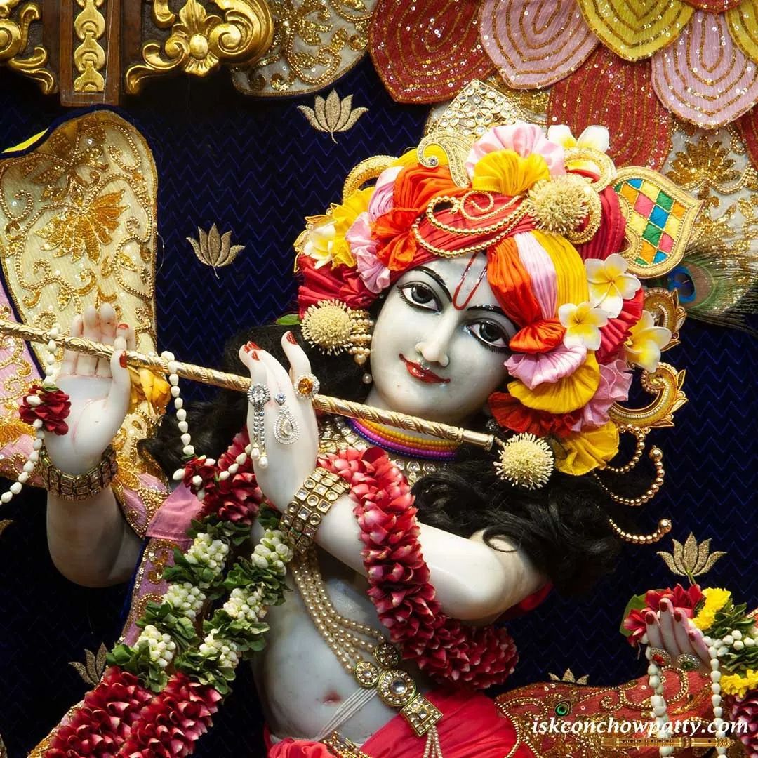 GaurangaDas's tweet photo. Lord Krishna's teachings aren’t just confined to scriptures; they live in every act of kindness, every moment of compassion, and every choice made in alignment with dharma.🙏🏼

Deity: ISKCON Chowpatty

#lordkrishna #kindness #compassion #krishnaconsciousness https://t.co/ChFNgbimxu