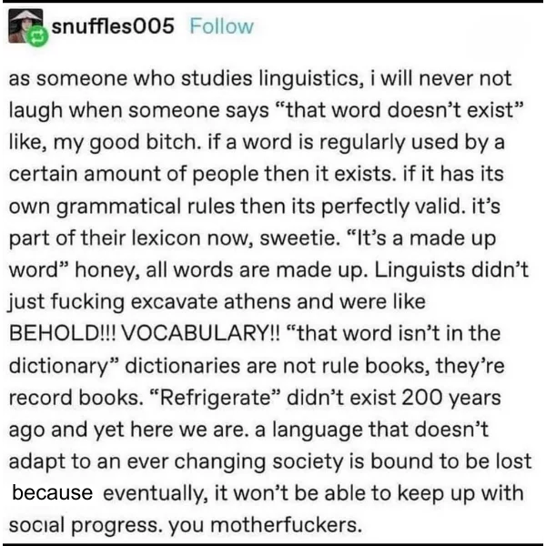 Ari Drennen (@aridrennen) on Twitter photo 