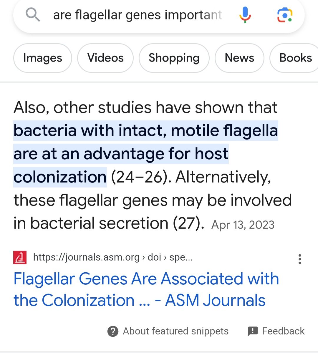 I learned if you google if flagellar genes are important for bacterial colonization that my and @gutbacteria's paper shows as a featured snippet. I thought that was pretty neat.