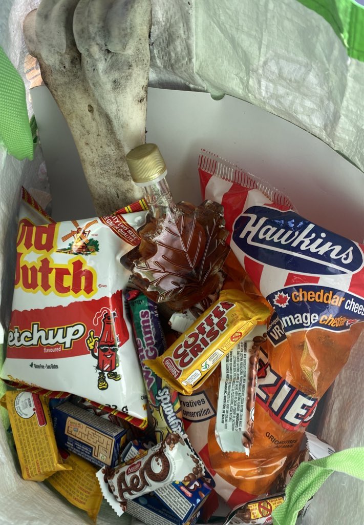 Bunsen, Beaker, Bernoulli & Brix tweet media