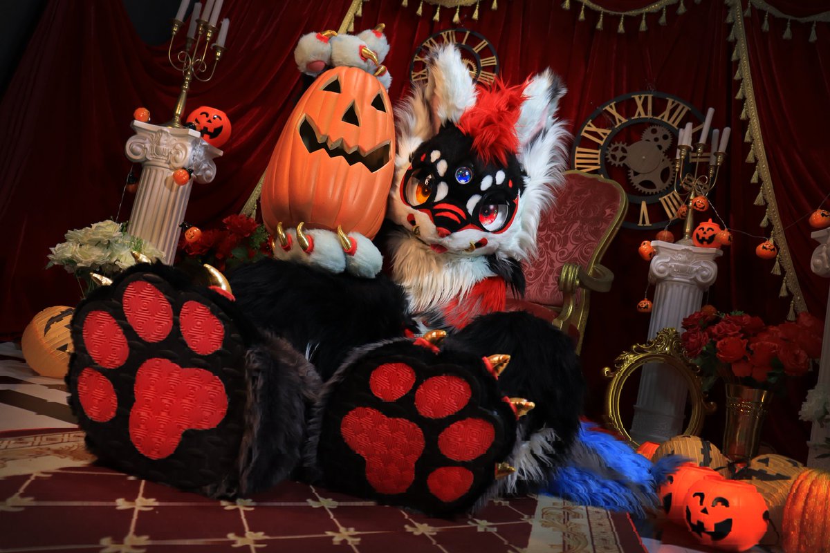 KAMIIkitsune's tweet photo. This is Halloween
Everybody make a scene
Trick or treat till the neighbor's gonna die of fright 🎃👻

📸: @KAMIIKAMIIIIII

Hi guys! I'm Kamii and I'll active on X from today.  Hope we can be friends. Happy Halloween 🎃
#FursuitEveryday #Halloween #fursuit #kemono #Halloween2023 https://t.co/M945Ax4IKg