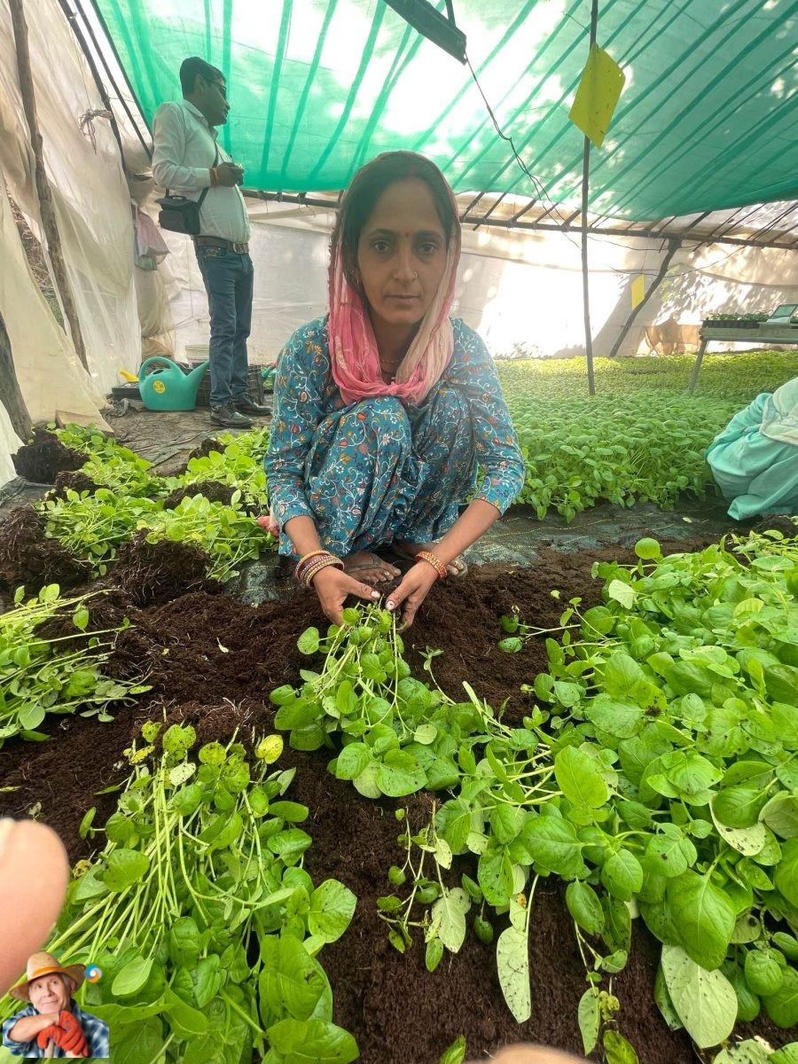 Empowering Women in Agriculture: A Transformative Journey in Morni, Haryana
In a heartening turn of events, Morni, Haryana, witnesses yet another inspiring tale of female empowerment in agriculture. Samarendu Mohanty, Asia Regional Director at...
potatoes.news/empowering-wom…