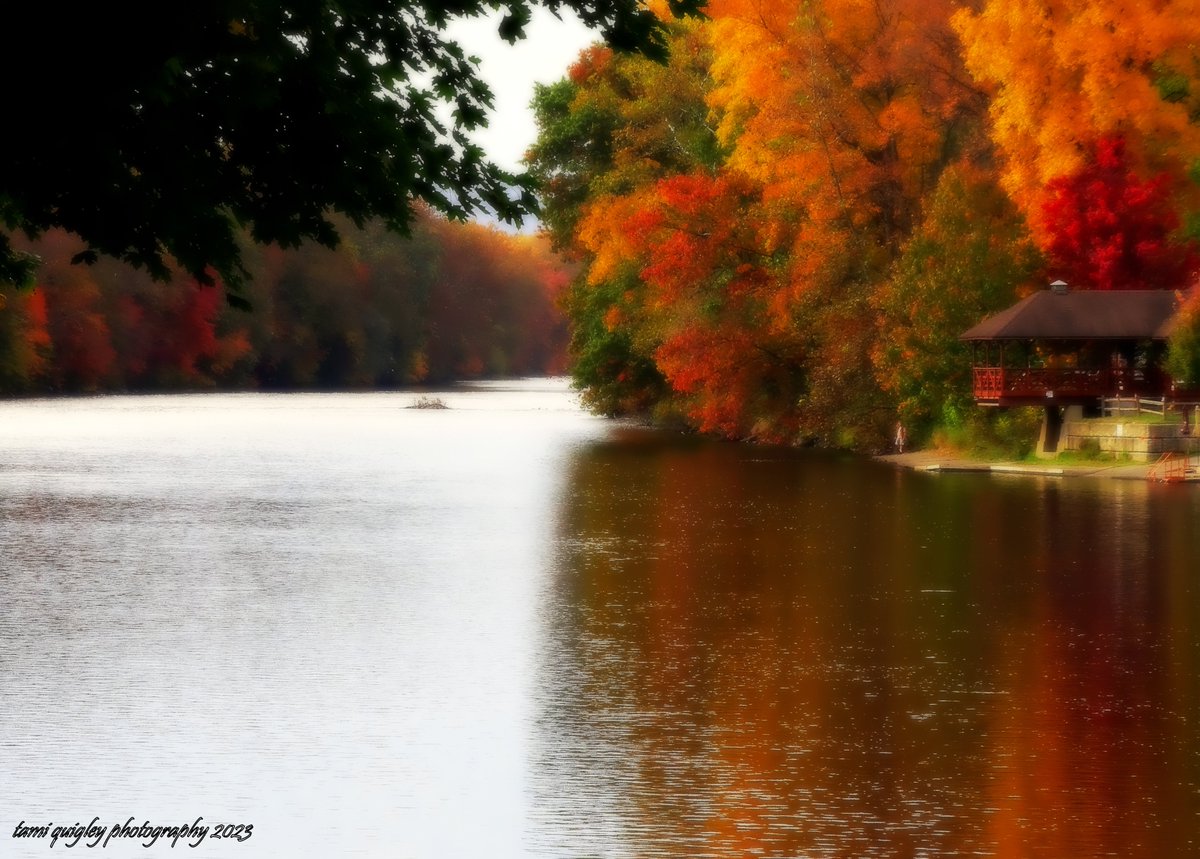 Trailscapes ... Fine Art Photography by Tami Quigley: October Riverscape ... trailscapes-tami.blogspot.com/2023/10/octobe… #Autumn #BuyIntoArt #AYearForArt #new #blogpost #fallfoliage #LehighRiver #River #October2023 @visitPA #LehighValley @LehighValleyPA #lehighvalleyphotographer @DLNHC #DLTrail
