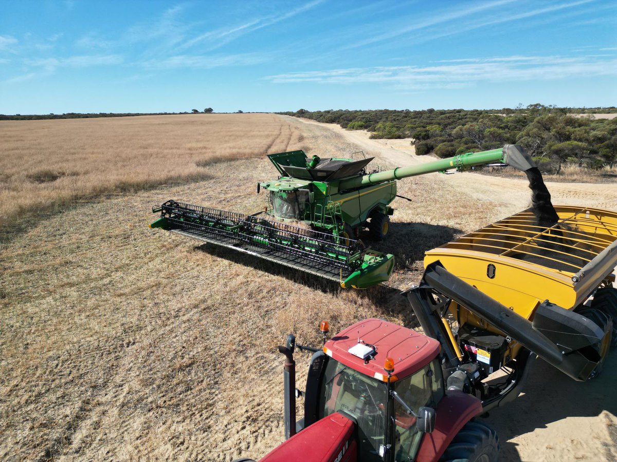 A few new additions and harvest has started 👌