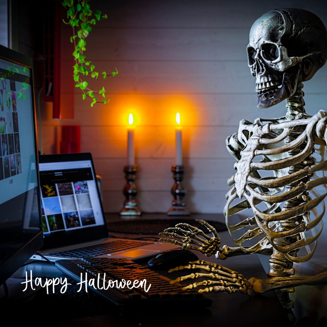 Career coaching directive for October 31st: 

Don’t work yourself to the bone – get out there and have a little fun tonight.

Happy Halloween!

- Catherine 

#Halloween #Halloween2023 #HappyHalloween #Motivation #Inspiration