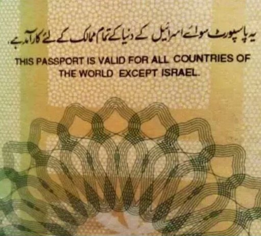HalalNation_'s tweet photo. Pakistani passport 👀 https://t.co/EO9hDlBjzr