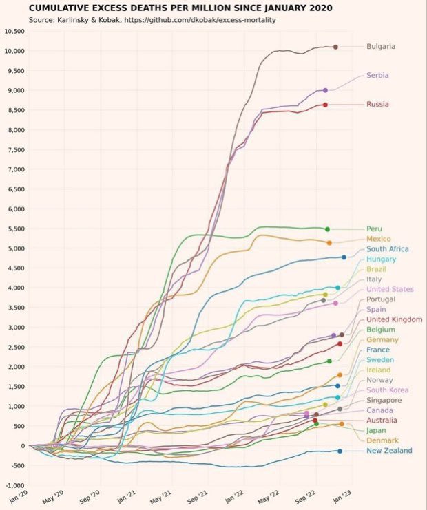 I know shouldn't encourage these twits. But this guy still trying to say the NZ covid response was wrong is pretty incredible. Look at the numbers, Bill. This is how incorrect you are.