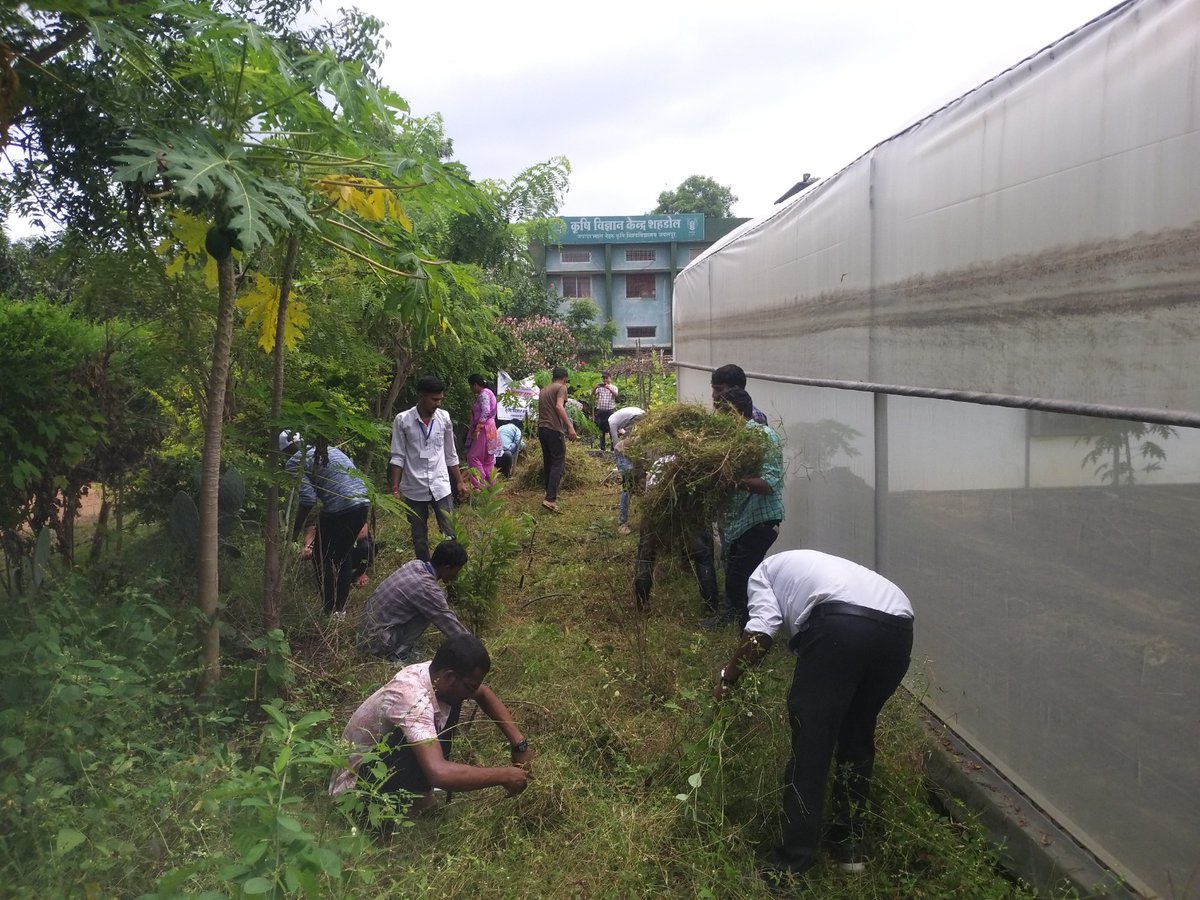 कृषि विज्ञान केन्द्र शहडोल के वैज्ञानिको एवं रावे छात्रो द्वारा Special Campaign 3.0 अभियान अन्तर्गत कृषि विज्ञान केन्द्र परिसर   मे साफ़ सफाई का कार्य किया गया। #dare_goi #icarindia #atari9icar #SwachhBharat #SpecialCampaign3